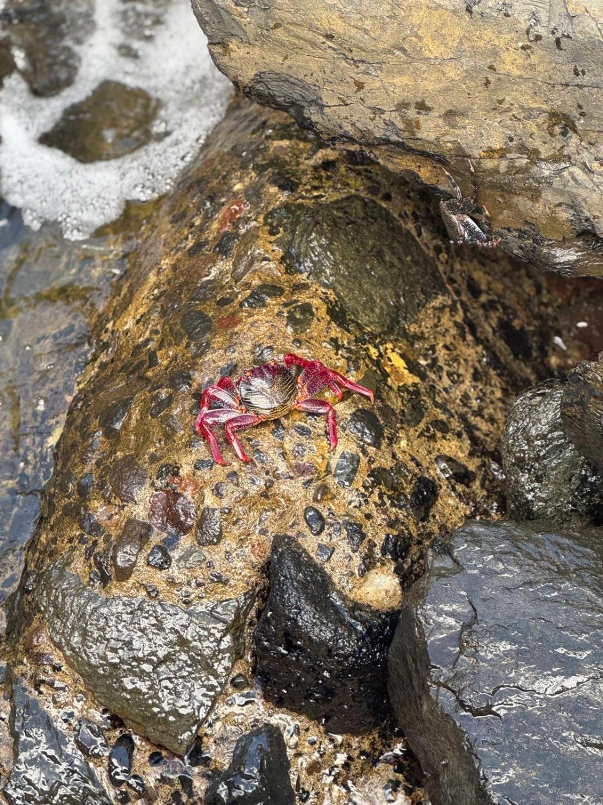 Piso Paraiso Vicino Al Mare ماسبالوماس المظهر الخارجي الصورة